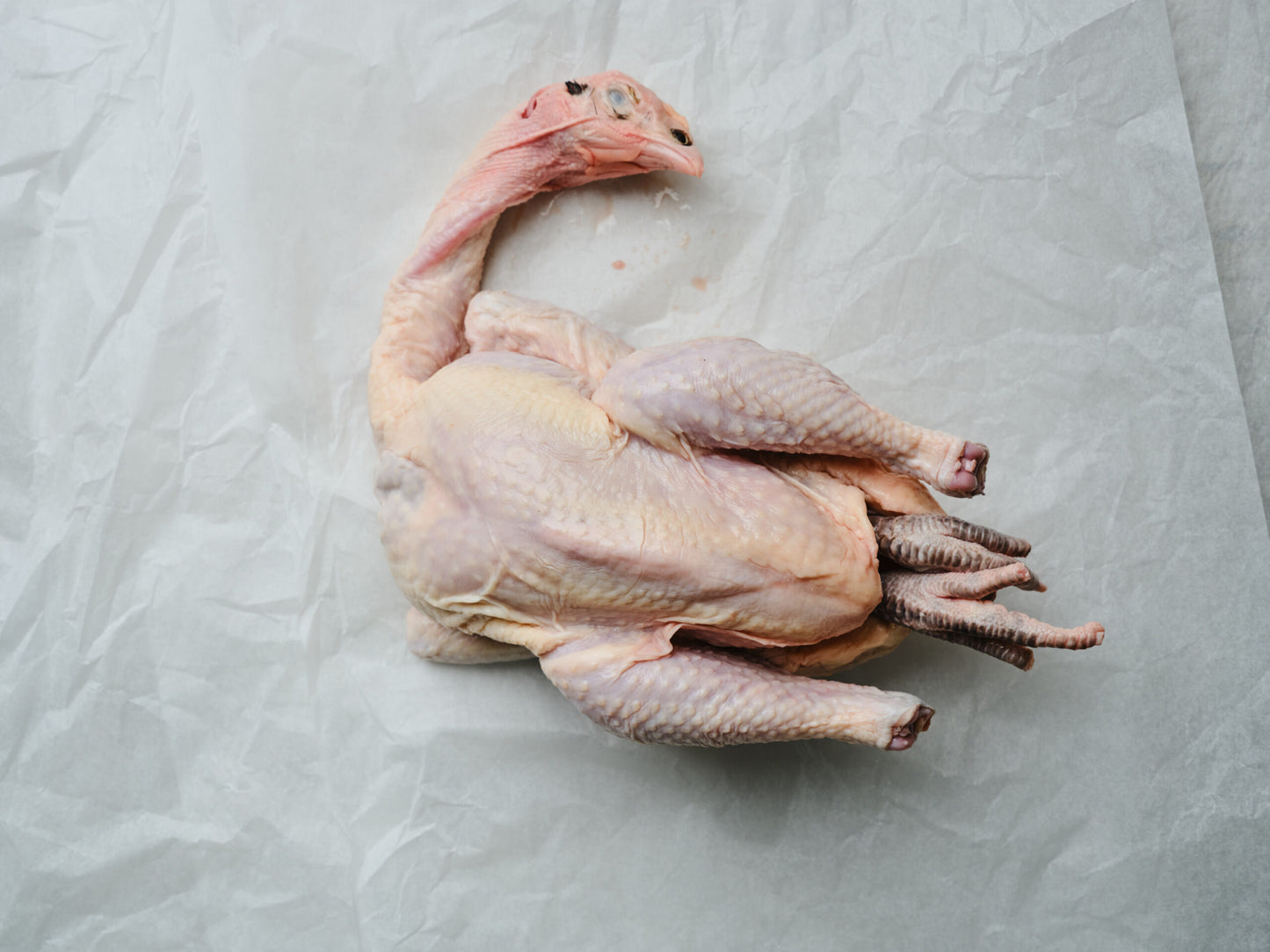 Whole Pastured Sommerlad Chicken