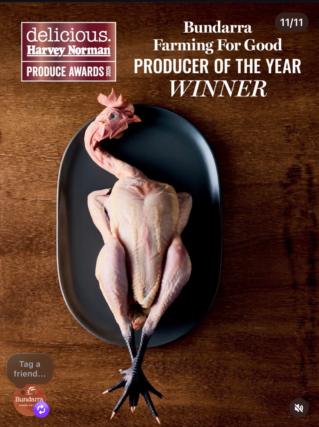 Whole Pastured Bundarra Chicken - Pre Order for Christmas